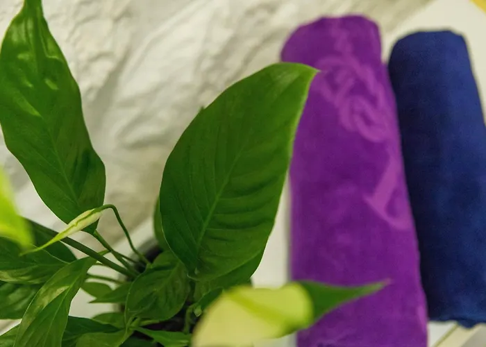 Piccola Red - 50m From The