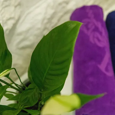 Piccola Red - 50m From The